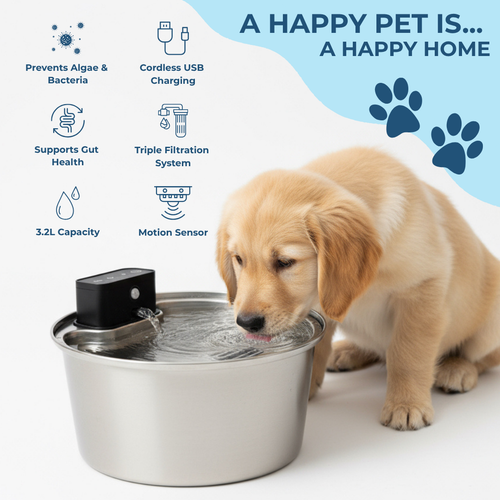 Pet Water Fountain