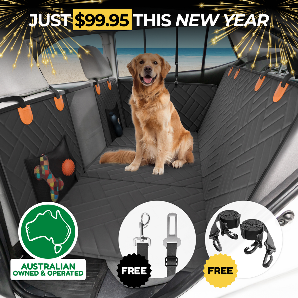 Hard Bottom Car Seat Cover