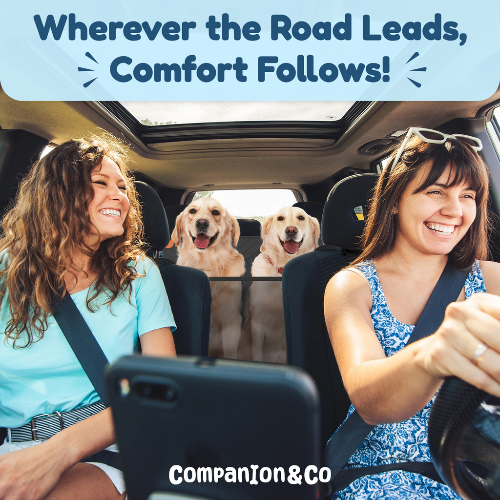 Hard Bottom Car Seat Cover